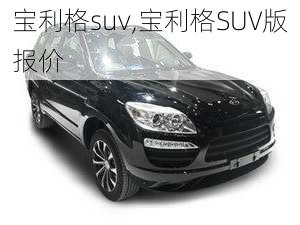 宝利格suv,宝利格SUV版报价-第1张图片-立方汽车网