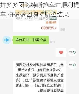 拼多多团购特斯拉车主顺利提车,拼多多团购特斯拉结果-第1张图片-立方汽车网