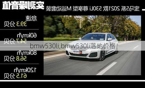 bmw530li,bmw530li落地价格-第1张图片-立方汽车网