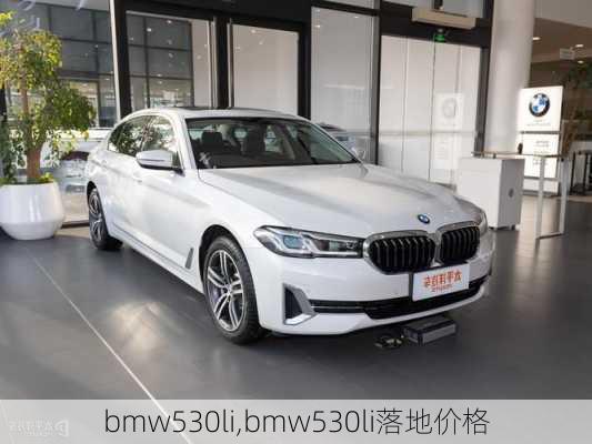 bmw530li,bmw530li落地价格-第3张图片-立方汽车网