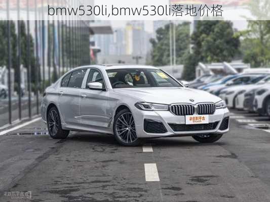 bmw530li,bmw530li落地价格-第2张图片-立方汽车网