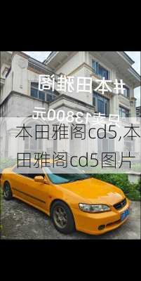 本田雅阁cd5,本田雅阁cd5图片-第1张图片-立方汽车网