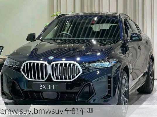 bmw suv,bmwsuv全部车型-第2张图片-立方汽车网