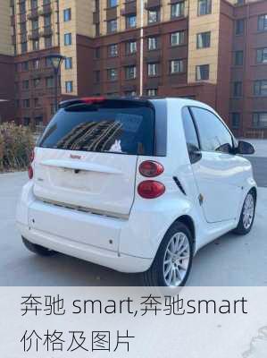 奔驰 smart,奔驰smart价格及图片-第3张图片-立方汽车网