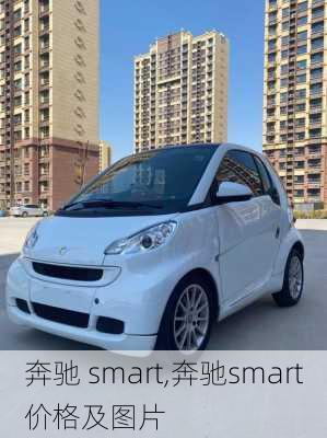 奔驰 smart,奔驰smart价格及图片-第2张图片-立方汽车网