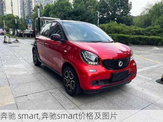 奔驰 smart,奔驰smart价格及图片-第1张图片-立方汽车网