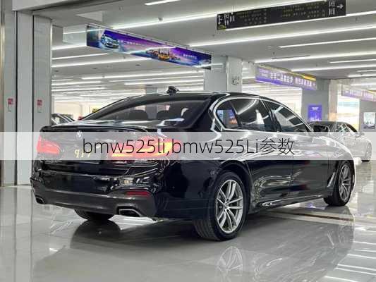 bmw525li,bmw525Li参数-第2张图片-立方汽车网