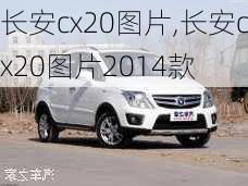 长安cx20图片,长安cx20图片2014款-第3张图片-立方汽车网