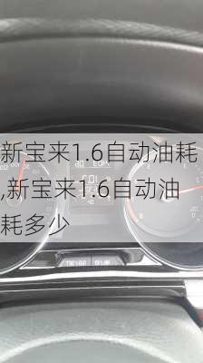 新宝来1.6自动油耗,新宝来1.6自动油耗多少-第2张图片-立方汽车网