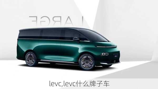 levc,levc什么牌子车-第2张图片-立方汽车网