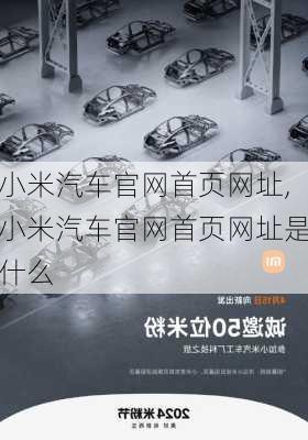 小米汽车官网首页网址,小米汽车官网首页网址是什么-第3张图片-立方汽车网