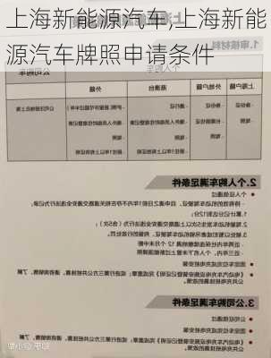 上海新能源汽车,上海新能源汽车牌照申请条件-第1张图片-立方汽车网