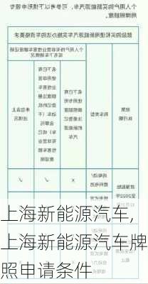 上海新能源汽车,上海新能源汽车牌照申请条件-第2张图片-立方汽车网