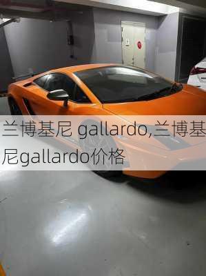 兰博基尼 gallardo,兰博基尼gallardo价格