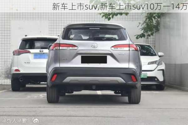 新车上市suv,新车上市suv10万一14万-第3张图片-立方汽车网