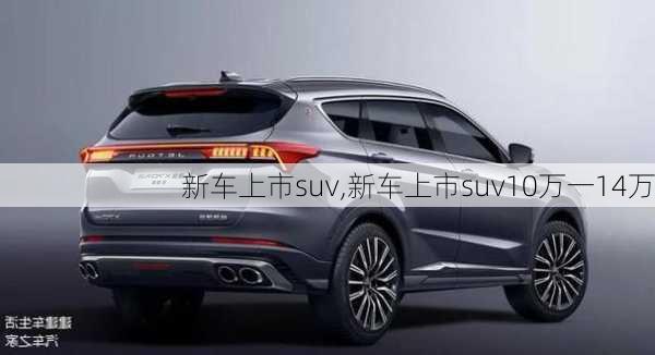 新车上市suv,新车上市suv10万一14万-第2张图片-立方汽车网