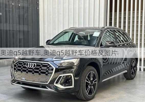 奥迪q5越野车,奥迪q5越野车价格及图片-第3张图片-立方汽车网