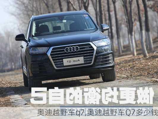 奥迪越野车q7,奥迪越野车Q7多少钱-第2张图片-立方汽车网