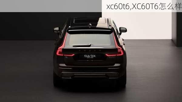 xc60t6,XC60T6怎么样-第2张图片-立方汽车网