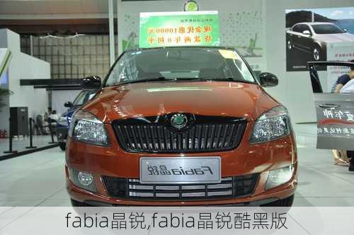 fabia晶锐,fabia晶锐酷黑版-第3张图片-立方汽车网