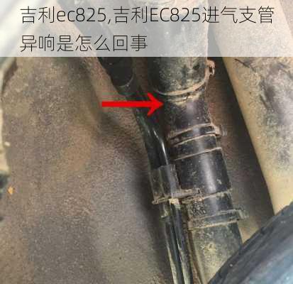 吉利ec825,吉利EC825进气支管异响是怎么回事-第2张图片-立方汽车网