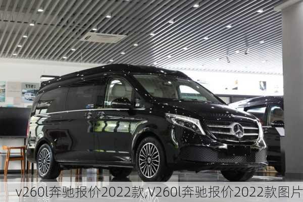 v260l奔驰报价2022款,V260l奔驰报价2022款图片-第3张图片-立方汽车网