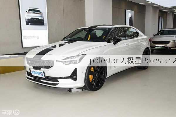 polestar 2,极星Polestar 2-第3张图片-立方汽车网