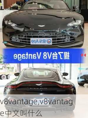 v8vantage,v8vantage中文叫什么-第1张图片-立方汽车网