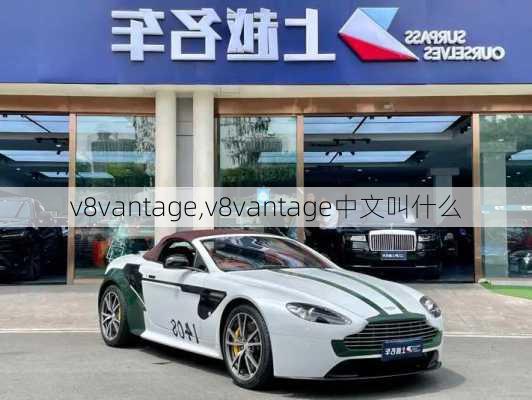 v8vantage,v8vantage中文叫什么-第2张图片-立方汽车网