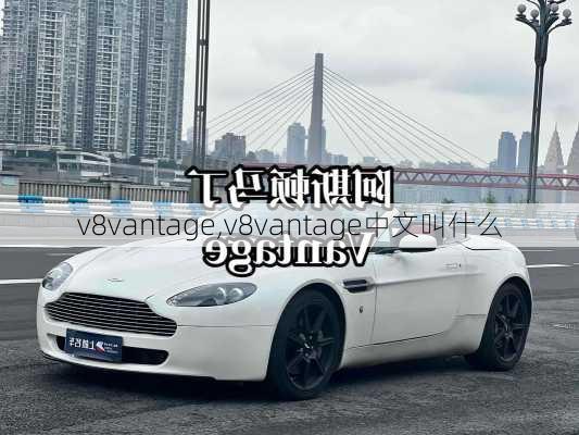 v8vantage,v8vantage中文叫什么-第3张图片-立方汽车网