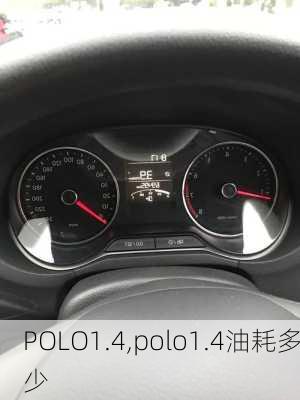 POLO1.4,polo1.4油耗多少-第2张图片-立方汽车网