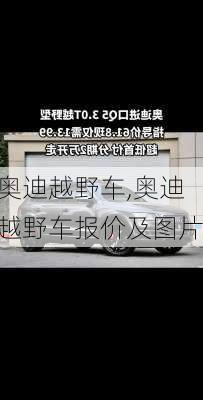 奥迪越野车,奥迪越野车报价及图片-第2张图片-立方汽车网