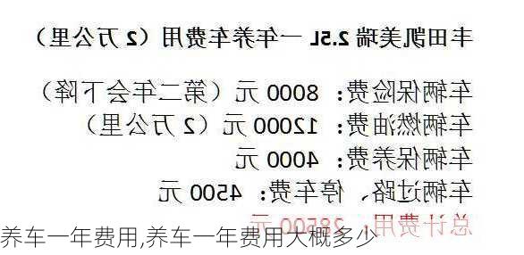 养车一年费用,养车一年费用大概多少-第2张图片-立方汽车网