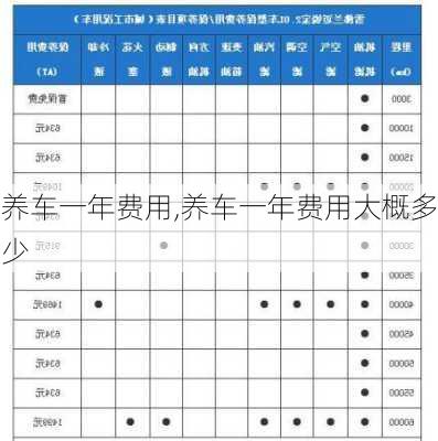 养车一年费用,养车一年费用大概多少-第3张图片-立方汽车网