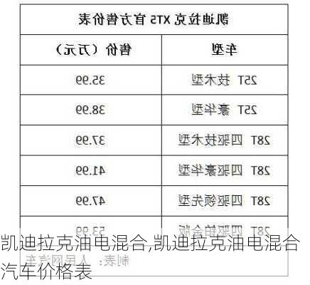 凯迪拉克油电混合,凯迪拉克油电混合汽车价格表-第3张图片-立方汽车网