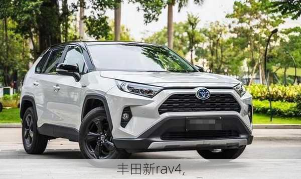 丰田新rav4,-第2张图片-立方汽车网