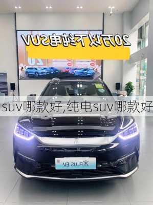 suv哪款好,纯电suv哪款好-第2张图片-立方汽车网