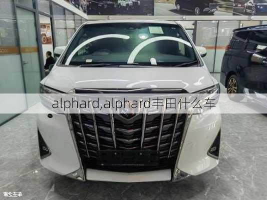 alphard,alphard丰田什么车-第2张图片-立方汽车网