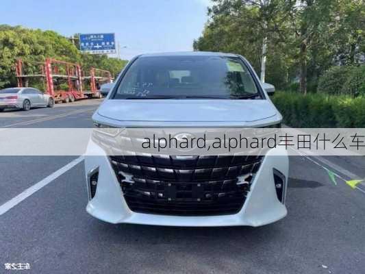 alphard,alphard丰田什么车