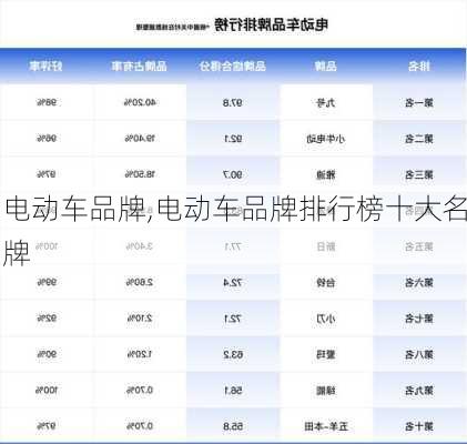 电动车品牌,电动车品牌排行榜十大名牌-第1张图片-立方汽车网