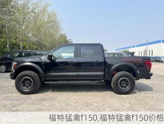 福特猛禽f150,福特猛禽f150价格-第3张图片-立方汽车网