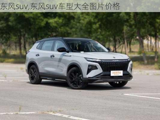 东风suv,东风suv车型大全图片价格-第1张图片-立方汽车网