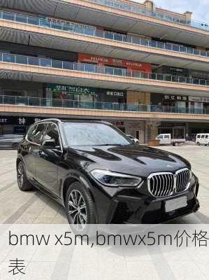 bmw x5m,bmwx5m价格表-第1张图片-立方汽车网