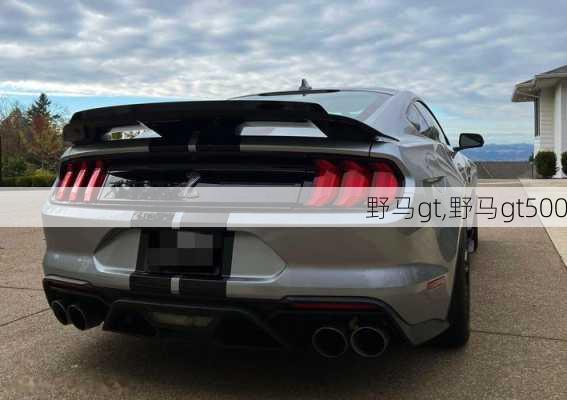 野马gt,野马gt500-第2张图片-立方汽车网