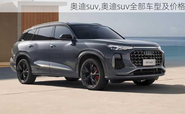 奥迪suv,奥迪suv全部车型及价格-第1张图片-立方汽车网