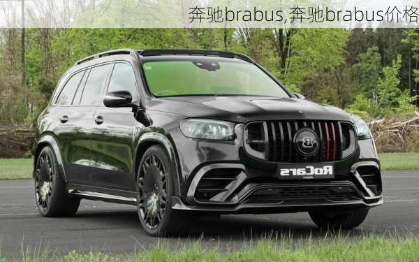 奔驰brabus,奔驰brabus价格-第3张图片-立方汽车网