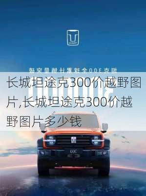 长城坦途克300价越野图片,长城坦途克300价越野图片多少钱-第2张图片-立方汽车网