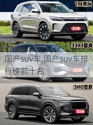 国产suv车,国产suv车排行榜前十名-第3张图片-立方汽车网