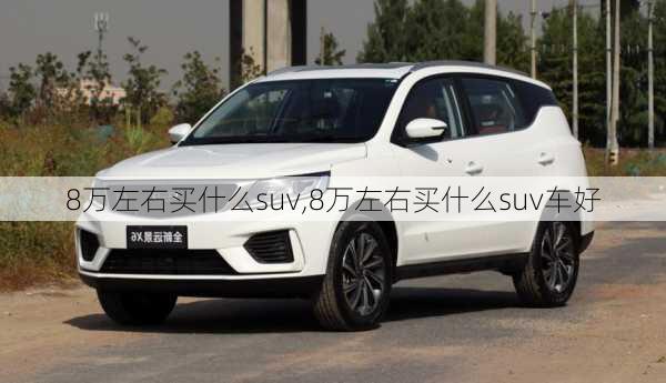 8万左右买什么suv,8万左右买什么suv车好-第1张图片-立方汽车网