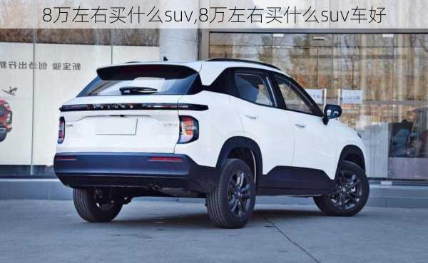 8万左右买什么suv,8万左右买什么suv车好-第2张图片-立方汽车网